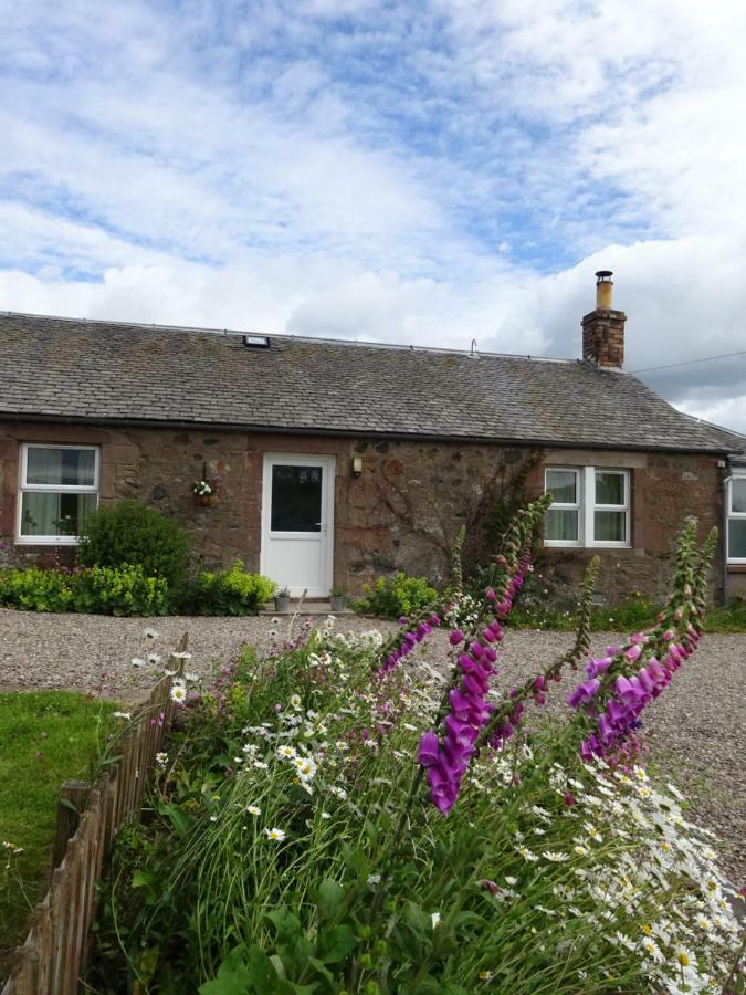 Incheoch Farm Cottage Kilry Eksteriør billede